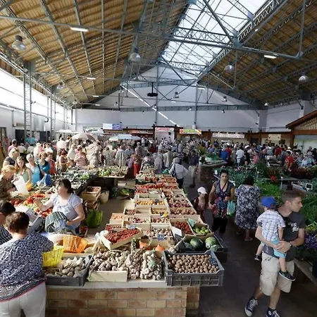 L'allee Des Charmes